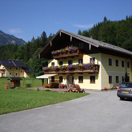 Pferdehof Almgut Appartement Faistenau Buitenkant foto