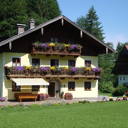 Pferdehof Almgut Appartement Faistenau Buitenkant foto