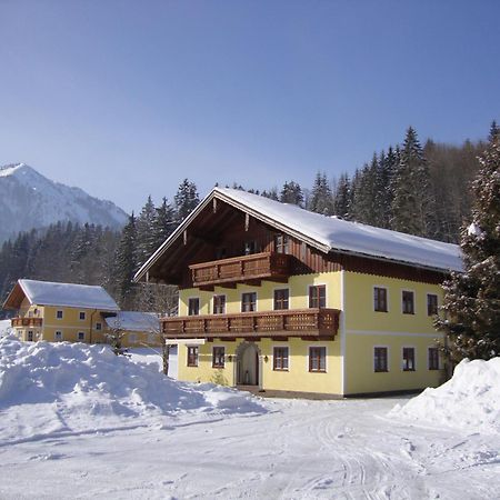 Pferdehof Almgut Appartement Faistenau Buitenkant foto